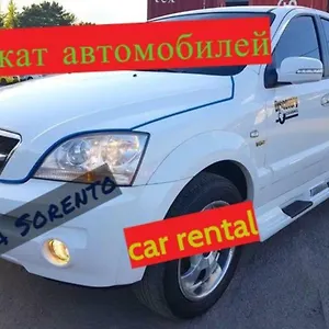 Stal+ 3*, Тбилиси Грузия